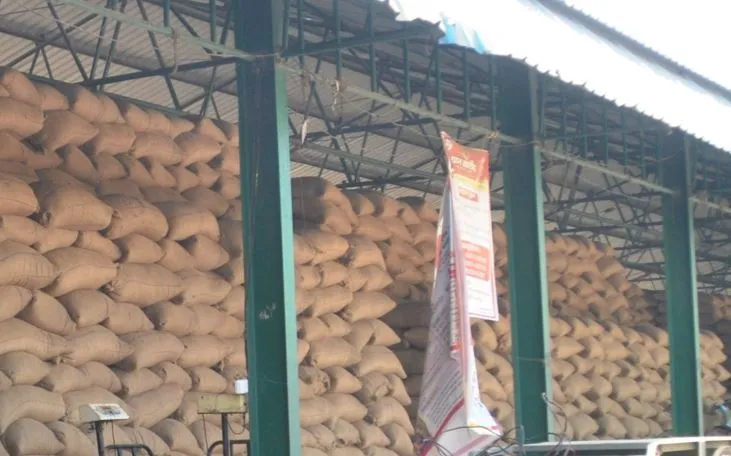 पीलीभीत: धान खरीद से जुड़े राइस मिलर्स परेशान, बोले- बस इस बार हो जाए सीएमआर का उतार, फिर तो कर लेंगे तौबा