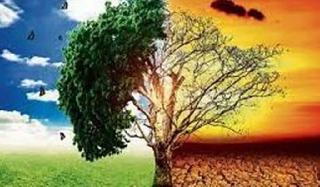 कार्बन सीमा कर गलत 