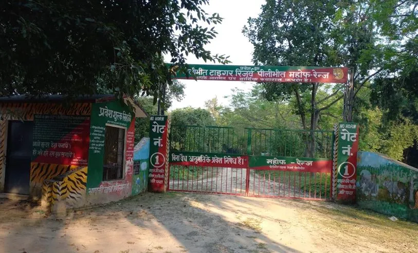 पीलीभीत: टाइगर रिजर्व में चेनलिंक फैंसिंग में देरी पर विशेष सचिव गुस्साए, बोले- मुआवजा देने में भी नहीं हो रहा नियमों का पालन