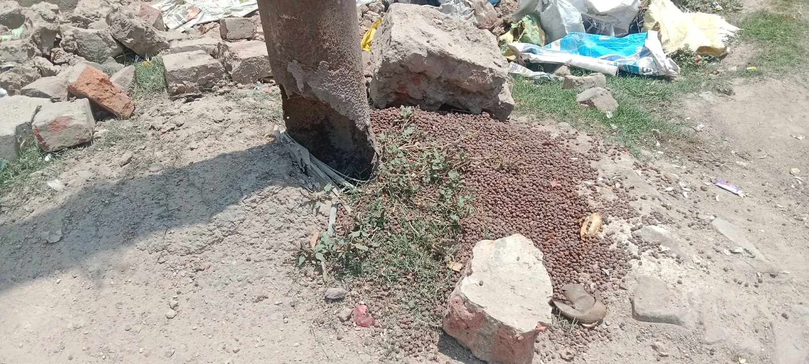 Fatehpur News: बड़ी घटना को बुलावा देते शहर में जर्जर पोल, बिजली विभाग कर रहा अनदेखी