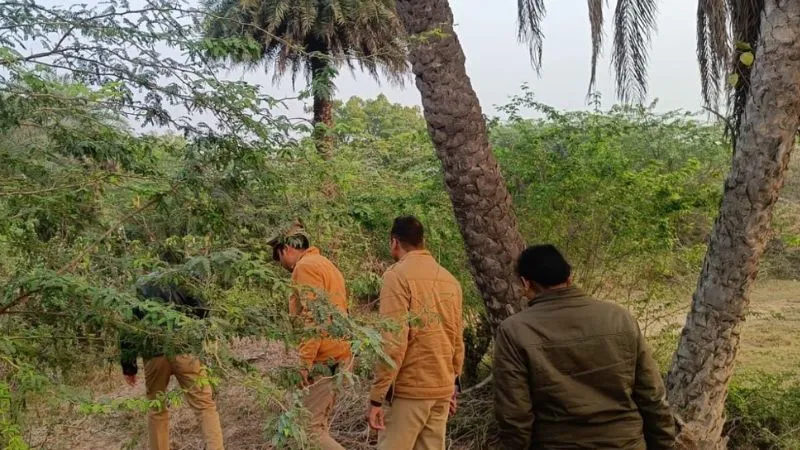 Banda News: पुलिस ने 289 लीटर अवैध शराब के साथ 36 लोगों को किया गिरफ्तार, एसपी के निर्देश पर की छापेमारी