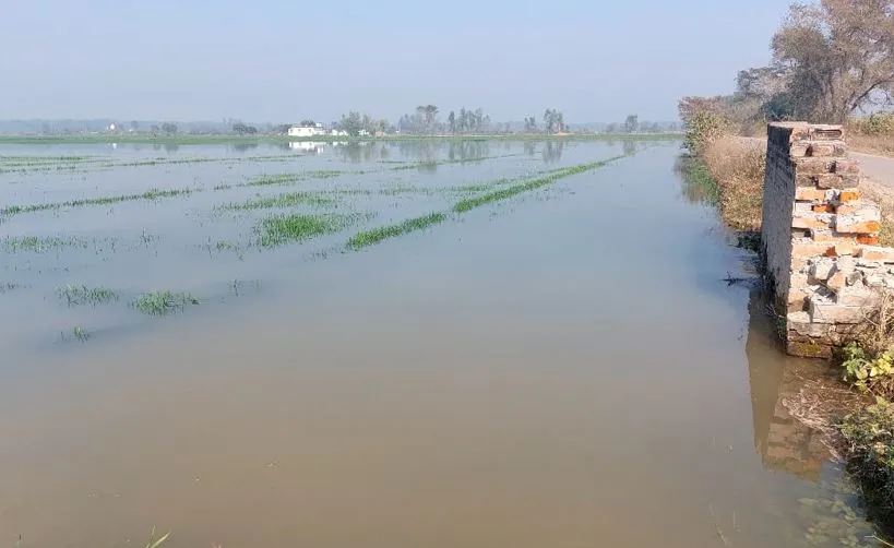 पीलीभीत: फिर अन्नदाता की मेहनत को सिस्टम की लापरवाही ने कर दिया पानी-पानी, किसान हो गए परेशान..जानिए मामला