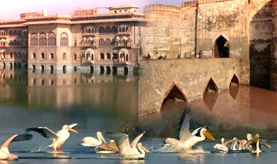 दिल्ली के नजदीक बसी हैं ये खूबसूरत डेस्टिनेशन, वीकेंड पर कर सकते हैं सैर 