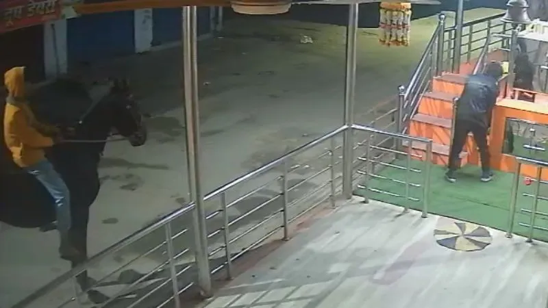 कानपुर में अजब-गजब मामला आया सामने, घोड़े पर सवार होकर आए दो चोर, मंदिर का उखाड़ा दान पात्र, देखें- VIDEO