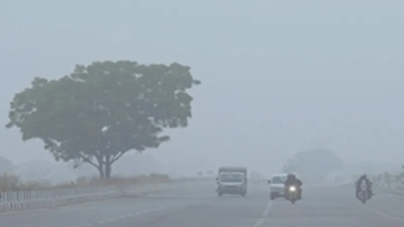 यूपी में कड़ाके की ठंड जारी, जानिये अगले दो दिनों के मौसम का latest update