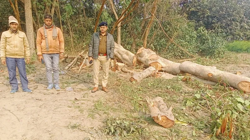 बहराइच : हरे पेड़ पर चला रहे थे कुल्हाड़ी, वन क्षेत्राधिकारी ने मौके पर पहुंच रुकवाया अवैध कटान 