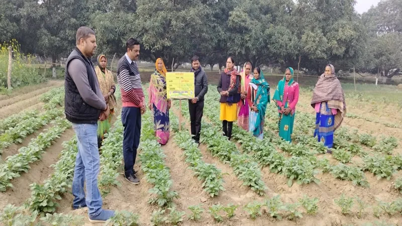 अयोध्या: पोषण वाटिका में खुद उगाइए सब्जियां, परिवार होगा सेहतमंद