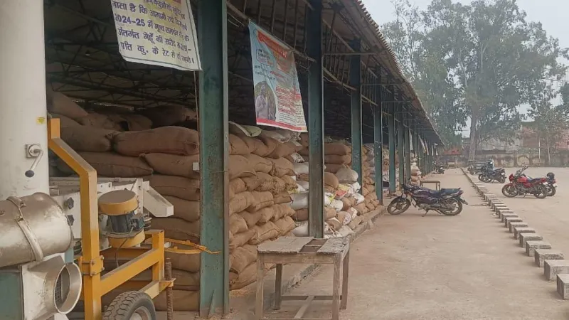 धान खरीद: लक्ष्य के सापेक्ष गोंडा में यूपीपीसीयू ने पूरी की खरीद 