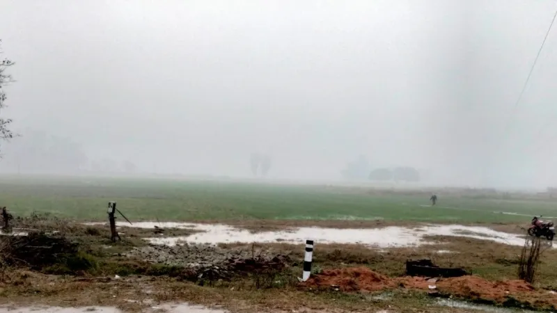 सुल्तानपुर में बारिश से बढ़ी ठंड, किसानों को सता रही ये चिंता 