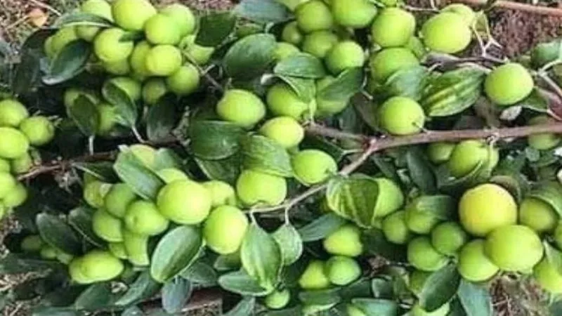 19 - 2024-01-09T125858.622