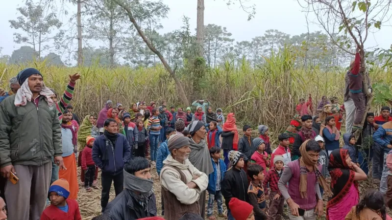 बहराइच : पिंजड़े में कैद हुआ तेंदुआ, गुर्राकर जता रहा नाराजगी - Video