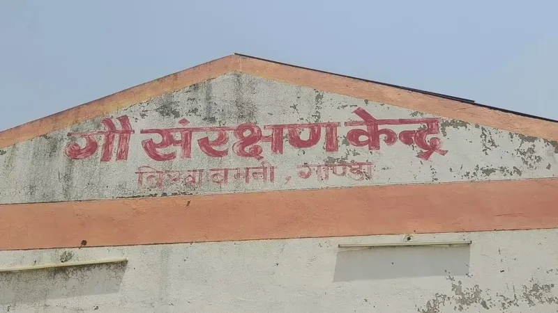 गोंडा : ग्राम प्रधान पर मवेशियों के चारे का पैसा हड़पने का आरोप, महिलाओं ने की शिकायत 