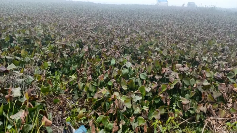 3 - 2024-01-04T133002.552