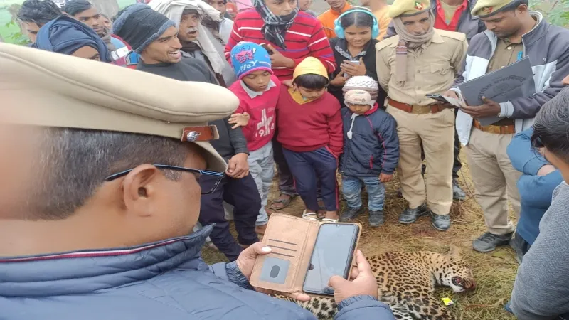अयोध्या में तेंदुए की मौत, अधिकारियों पर हो सकती है कार्रवाई   