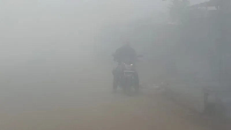 UP में भीषण ठंड से कांपे लोग, कई शहरों में विजिबिलिटी जीरो - शीतलहर से गिरा तापमान 
