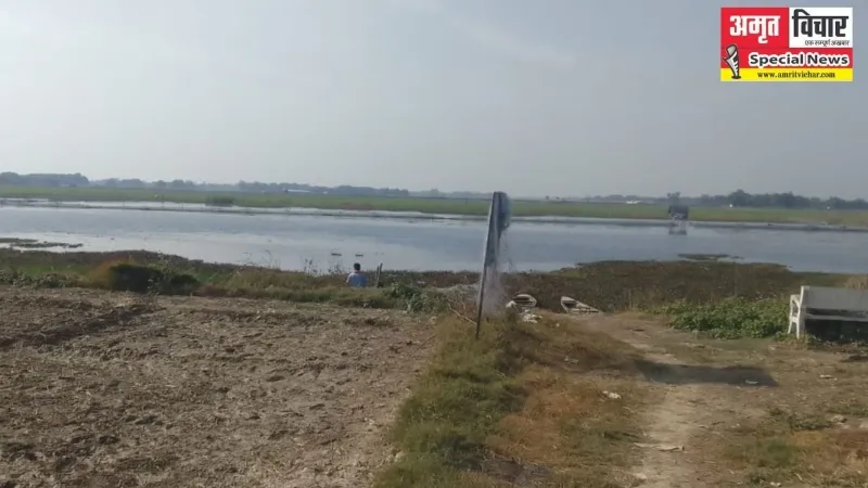 संतकबीरनगर: सदियों की अपनी पहचान खो रहा ढढ़वा ताल, जिले में विलुप्त हो जाएगा कमल और सिंघाड़ा