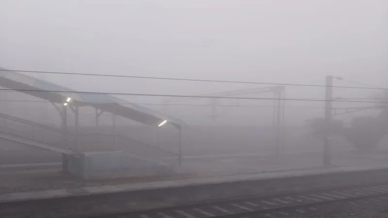 4 - 2024-01-25T110233.486