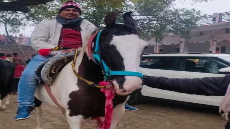 बहराइच : घुड़सवारी में ऋषि पांडेय का घोड़ा आया प्रथम