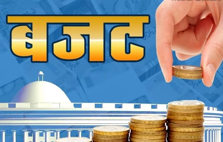Budget 2024: 'आम आदमी को मिले राहत... किसानों का भी दर्द समझे सरकार', जानिए और क्या बोले बरेलीवासी?
