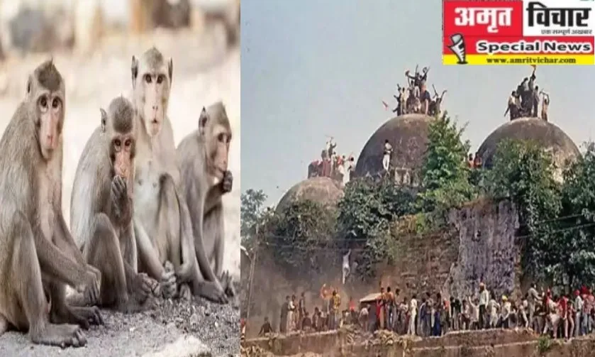 बरेली: विवादित ढांचा गिराने सबसे पहले पहुंची थी 'वानर सेना'! भर दिया था कारसेवकों में जोश