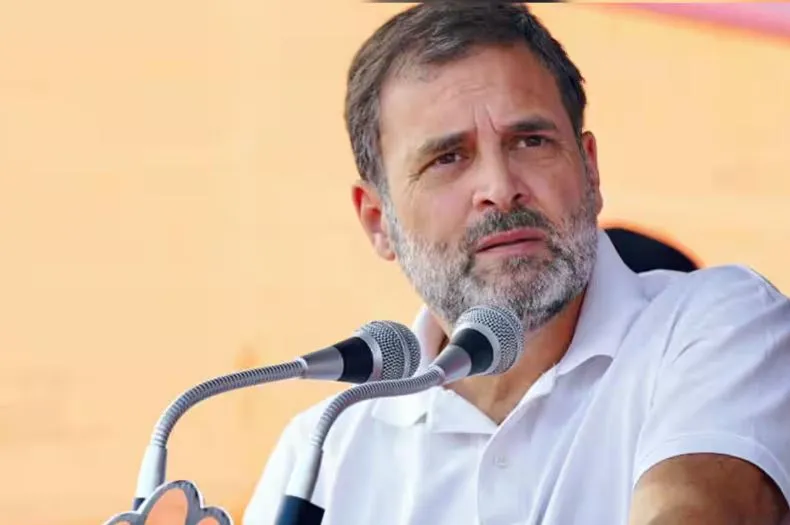 देश को दिल्ली से चलाना और पूरे देश में हिंदी का प्रयोग चाहती है भाजपा: राहुल गांधी