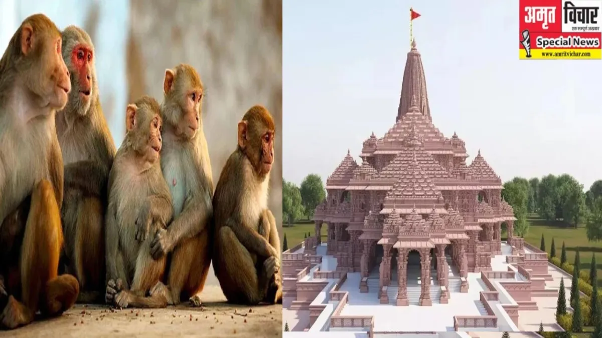 बरेली: जब वानर सेना ने रामभक्तों की बचाई थी जान, बंदरों ने बैरिकेडिंग में छोड़े करंट का तोड़ दिया था तार