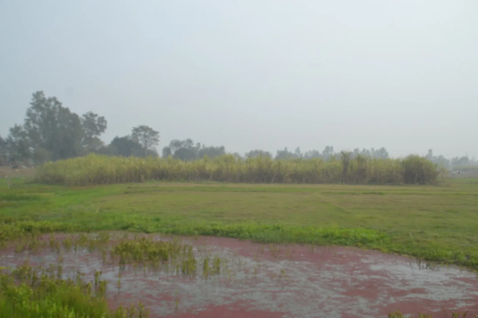 6664883e-46fb-4a86-b485-c6a22d7aa814