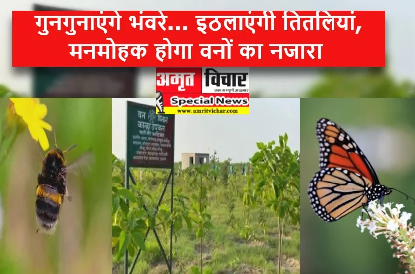कासगंज: गुनगुनाएंगे भंवरे... इठलाएंगी तितलियां, मनमोहक होगा वनों का नजारा 