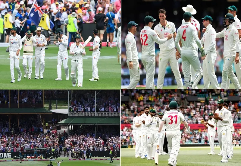 AUS vs PAK : डेविड वॉर्नर ने अपनी आखिरी पारी में जमाया अर्धशतक, ऑस्ट्रेलिया ने पाकिस्तान का किया सूपड़ा साफ 