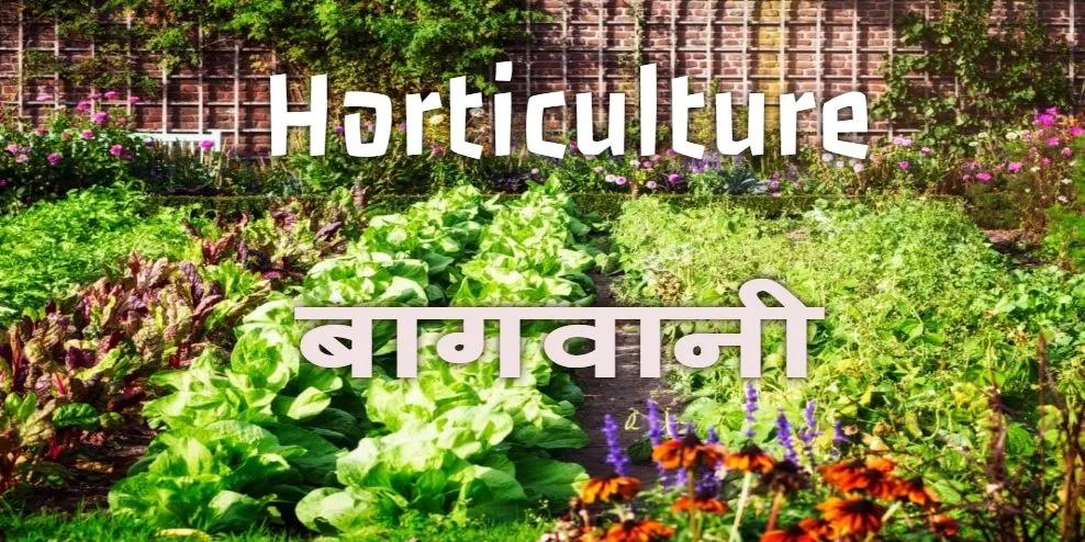 2022-23 में 355.25 मिलियन टन बागवानी उत्पादन होने का अनुमान