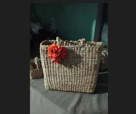 बरेली: तालाबों से निकली सफलता की जलकुंभी, स्वयं सहायता समूह की महिलाओं ने हस्तशिल्प बनाकर बढ़ाई आमदनी