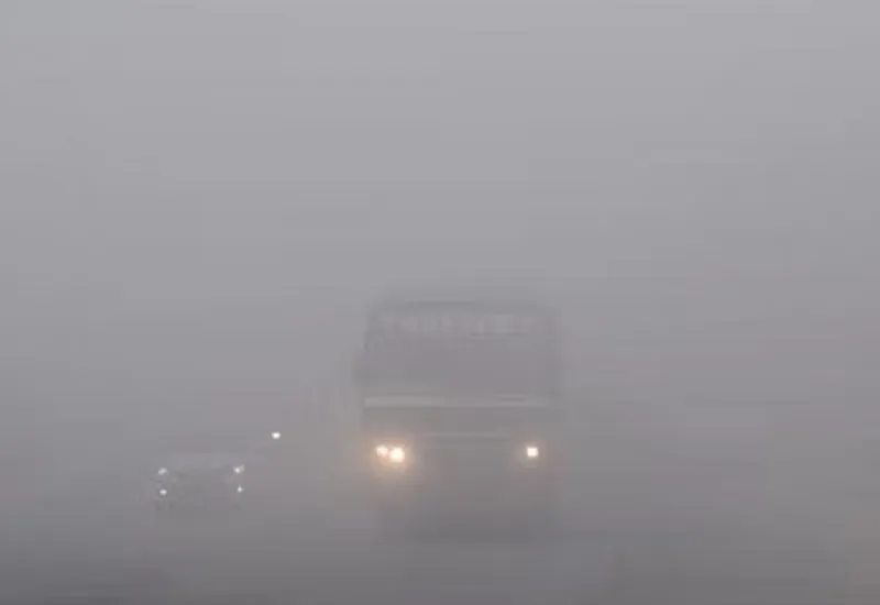 मुरादाबाद : कोहरे में लिपटी सुबह, न्यूनतम तापमान 5 डिग्री रहने से बढ़ी ठिठुरन