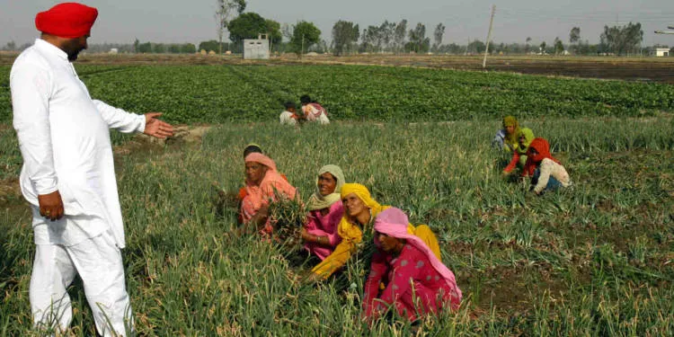 अमीर किसानों पर आयकर लगाने के बारे में सोच सकती है सरकार