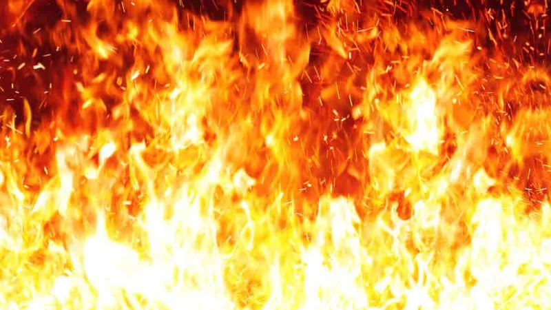 Farrukhabad News: रामनगरिया मुख्य प्रवेश द्वार पर लगी आग, मची भगदड़, बिजली आपूर्ति की गई बंद