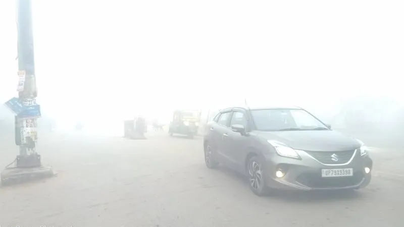 Fog News