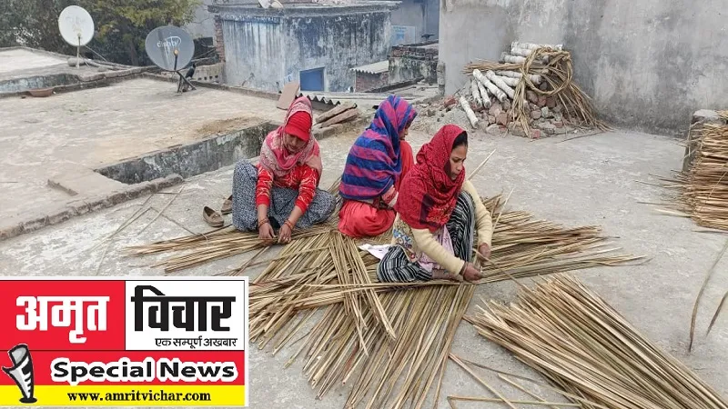 special story: खजूर के पत्तों की चटाई बनाकर एक महिला प्रतिमाह में कमा रही पांच से छह हजार