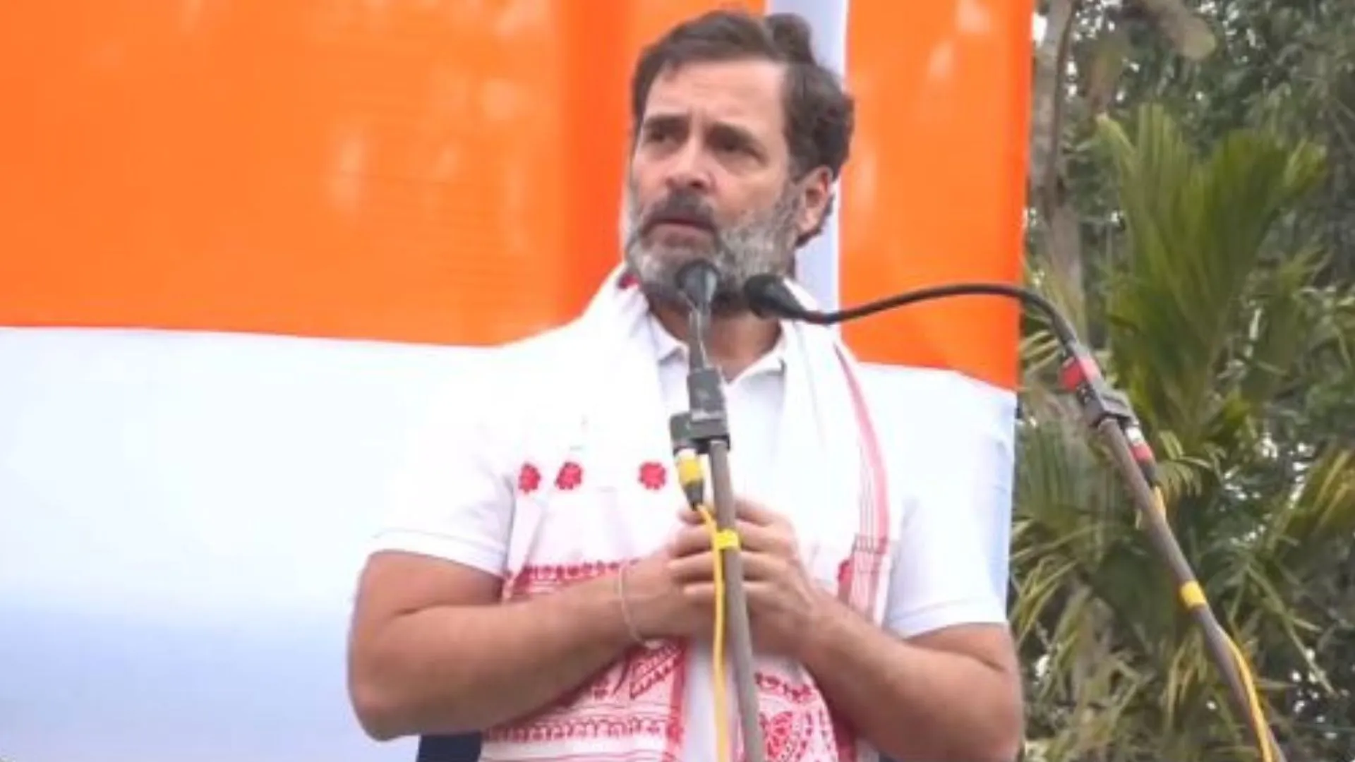 'भाजपा आदिवासियों को वनों तक ही सीमित रखना चाहती है', राहुल गांधी का आरोप 