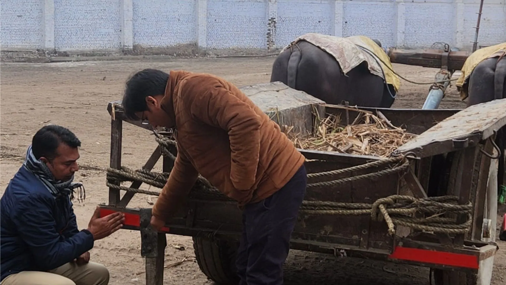 कासगंज: कोहरे के मौसम में बढ़ रहे हादसे, वाहन चलाते समय बरतें सतर्कता 