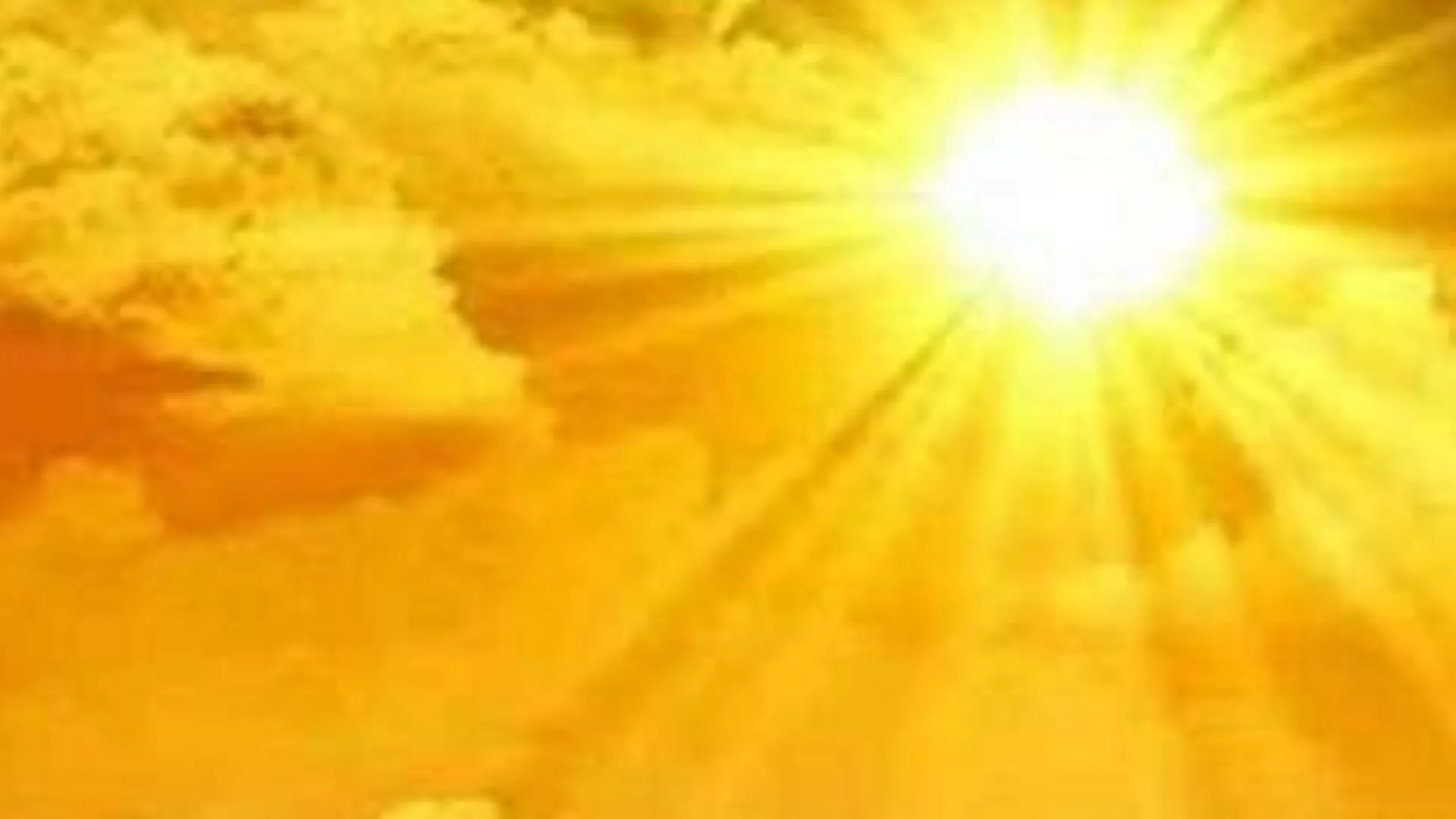 बरेली: नए साल पर धूप खिली तो मिली राहत, शीत ऋतु में होगी अधिक वर्षा