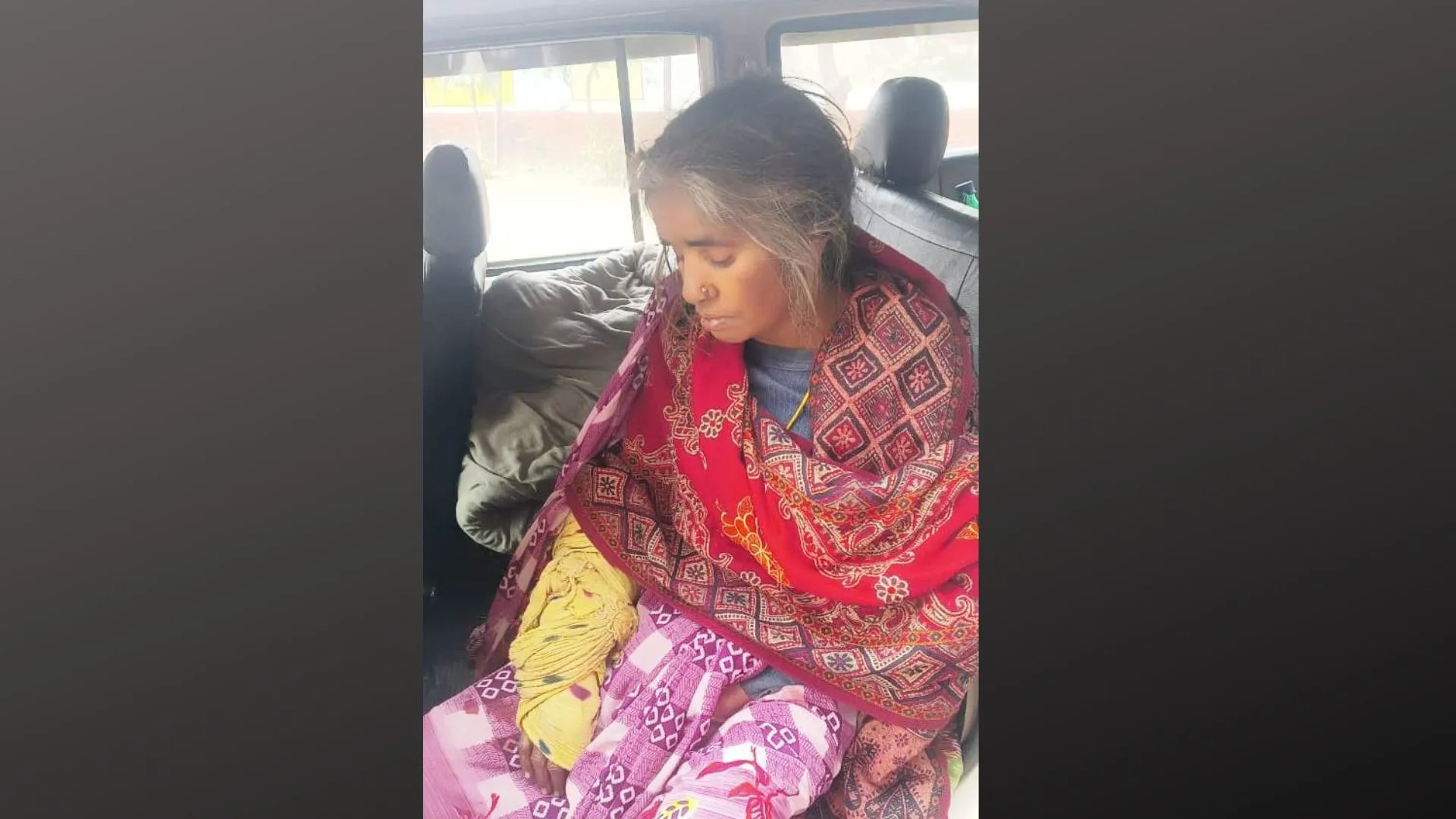 पीलीभीत: खेत की रखवाली कर रही महिला पर भालू ने किया हमला, घायल