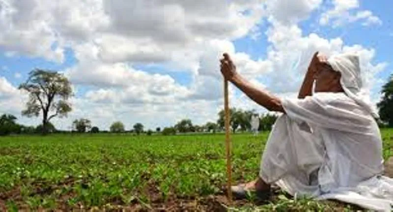 रुद्रपुर: बारिश न होने से किसानों के माथे पर उभरीं चिंता की लकीरें