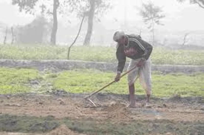 देहरादून: न बारिश न बर्फबारी...किसानों को चिंता सताई