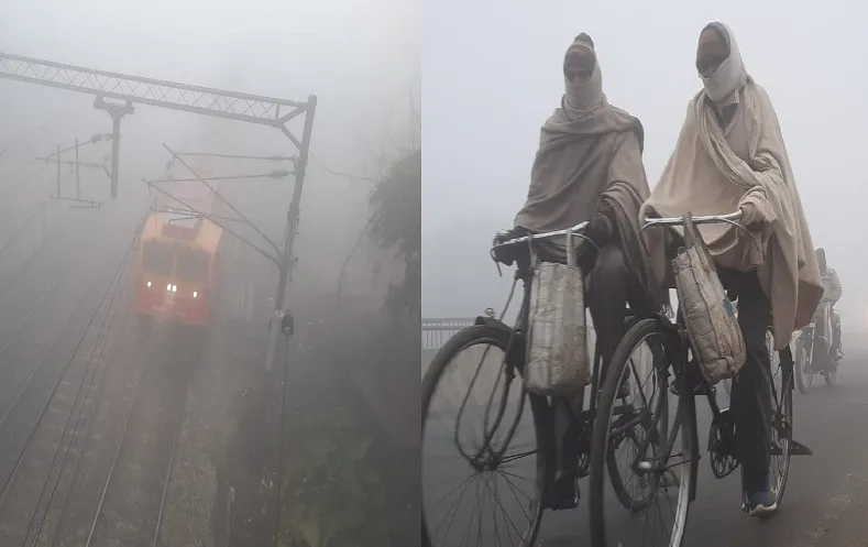 रामपुर : छाया कोहरा, शीतलहर चलने से छूटी कंपकंपी...बरतें सावधानियां