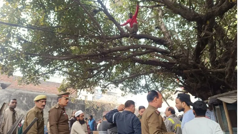 Kanpur News: पत्नी से झगड़कर पति ने किया घंटो हाईवोल्टेज ड्रामा… पेड़ पर चढ़कर बोला- आज दे दूंगा जान