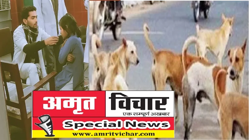 Special Story : एक साल में 8547 लोग बने कुत्तों के शिकार, प्रशासन बेपरवाह