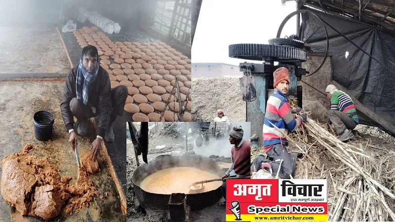 Special Story : रामपुर में बढ़ा रोजगार का संकट...नहीं बचा कोई गन्ना क्रेशर, सभी हुए बंद