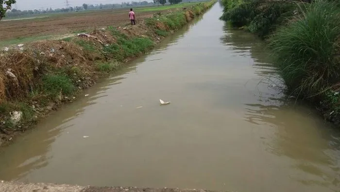 नैनीताल: सरकार से बजट मिलने के बावजूद संकट में सिंचाई नहरों का अस्तित्व