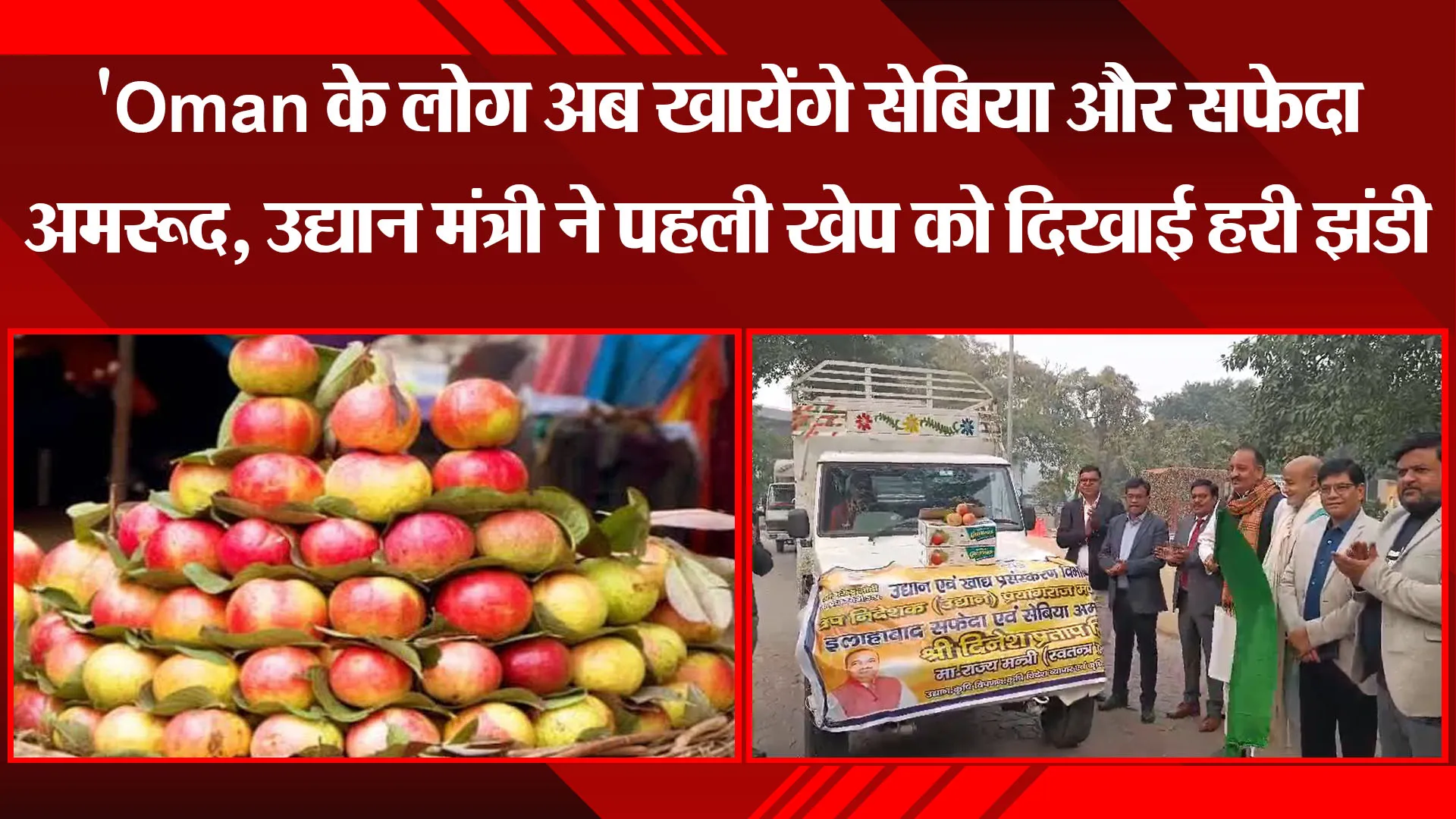 लखनऊ: Oman के लोग अब खायेंगे सेबिया और सफेदा अमरूद, उद्यान मंत्री ने पहली खेप को दिखाई हरी झंडी