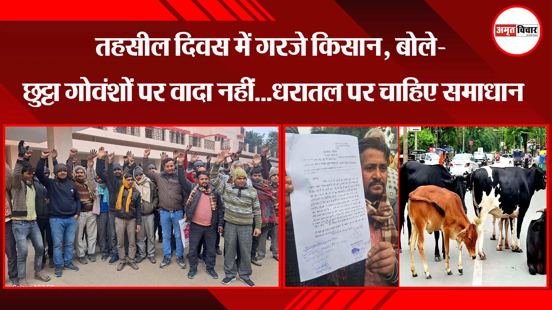 बदायूं: तहसील दिवस में गरजे किसान, बोले- छुट्टा गोवंशों पर वादा नहीं...धरातल पर चाहिए समाधान