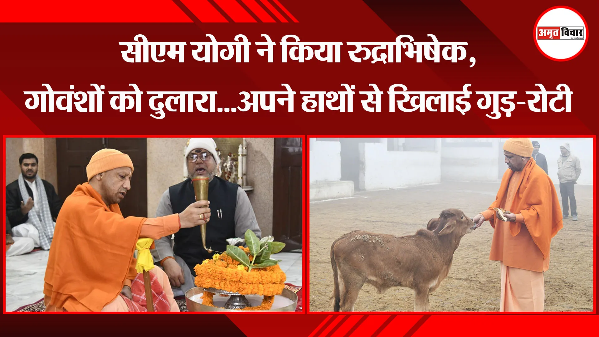 गोरखपुर: सीएम योगी ने किया रुद्राभिषेक, गोवंशों को दुलारा...अपने हाथों से खिलाई गुड़-रोटी 